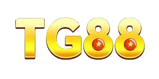 10tg88 com